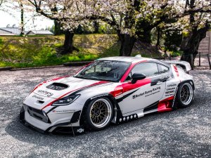 RAYS 21A spec-SR 18x8.5J Сияющая бронза металлик/обод DC 03798853496SR - thumbnail 9