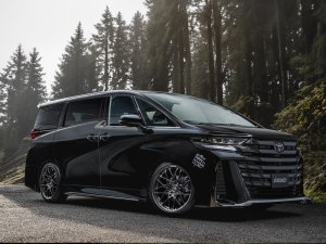 RAYS G29 21x8.5J Сияющий супер-черный 06981852228SK - thumbnail 10