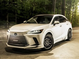 RAYS G29 21x8.5J Сияющий супер-черный 06981852228SK - thumbnail 9