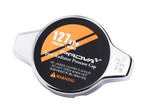 Prova Спортивная крышка радиатора D 10000SP0081