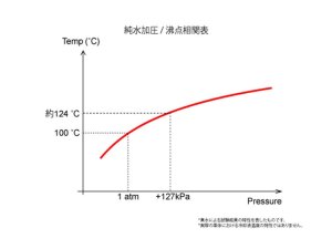Prova Спортивная крышка радиатора D 10000SP0081