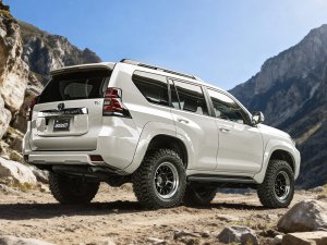 RAYS A●LAP-07X 16x5.5J Чёрный/обод DC 10096552015BD - thumbnail 13