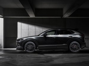 RAYS Craft Collection VOUGE LIMITED 18x7J Глянцевый черный 11958705595GX - thumbnail 25