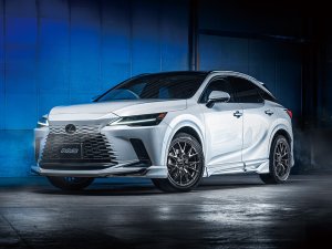 RAYS VV27S 20x8.5J Джет Блэк 12300854542YNJ - thumbnail 9