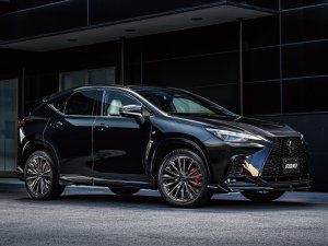 RAYS Craft Collection VOUGE LIMITED 18x7J 123187048966EZ - thumbnail 5