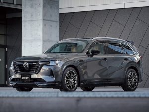 RAYS VOUGE SE 17x7J Полуматовый черный 12329804542BOJ - thumbnail 21