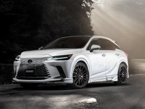 RAYS L-01 PREMIUM 20x8.5J Матовый прозрачный черный 12950854542PH - thumbnail 5