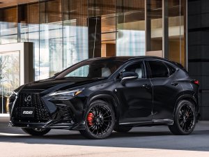 RAYS L-01 20x8.5J Полуглянцевый черный 12970854542SG - thumbnail 26