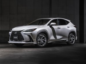 RAYS C-01 19x7J Матовый оружейный чёрный/Кромка обода DC 12989704084MK - thumbnail 20