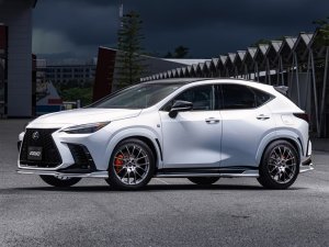 RAYS 2x7 20x8.5J Серебристый Грейс 27019853895GT - thumbnail 5