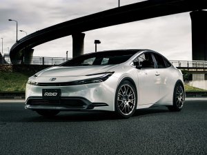 RAYS 2x7 20x8.5J Серебристый Грейс 27019853895GT - thumbnail 3