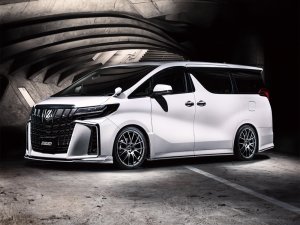 RAYS 2x7 20x8.5J Серебристый Грейс 27019853895GT