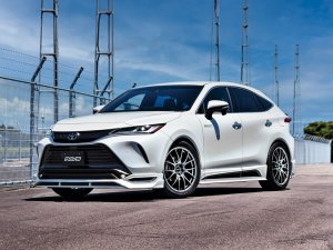 RAYS 2x7 20x8.5J Серебристый Грейс 27019853895GT - thumbnail 6