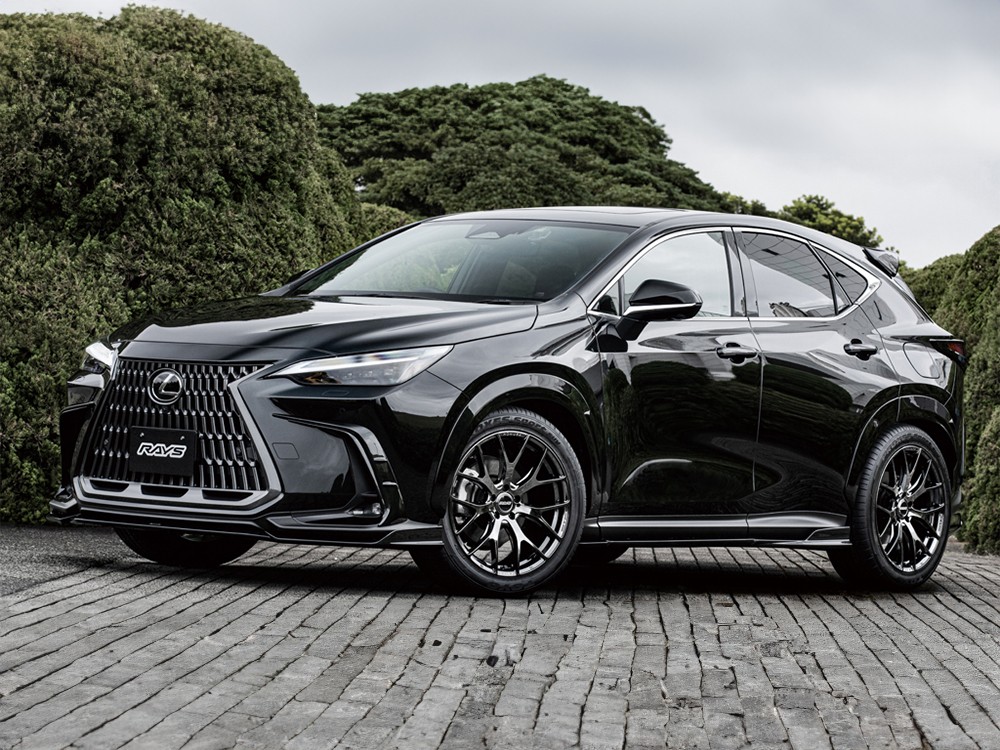 RAYS 2x7FT 17x7J Алмазная резка/Серый боковой грейс 27337703425QAJ - Фото 18