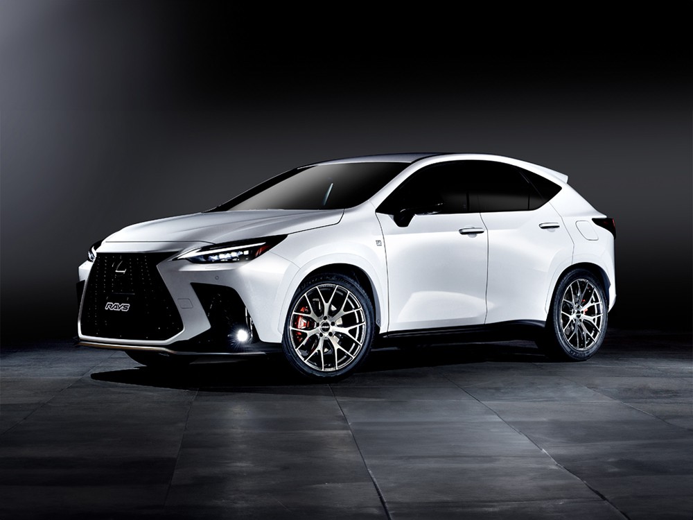 RAYS 2x7FT 17x7J Алмазная резка/Серый боковой грейс 27337703425QAJ - Фото 14