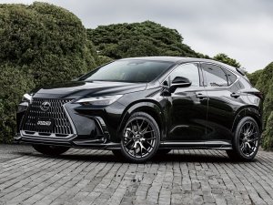 RAYS 2x7FT 17x7J Алмазная резка/Серый боковой грейс 27337703425QAJ - thumbnail 18