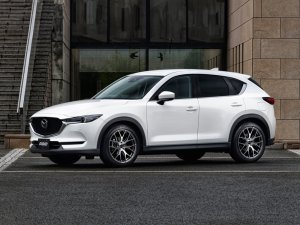 RAYS 2x7FT 17x7J Алмазная резка/Серый боковой грейс 27337703425QAJ - thumbnail 9