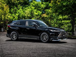 RAYS 2x7FT 17x7J Алмазная резка/Серый боковой грейс 27337703425QAJ - thumbnail 20