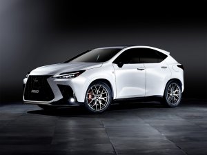 RAYS 2x7FT 17x7J Алмазная резка/Серый боковой грейс 27337703425QAJ - thumbnail 14