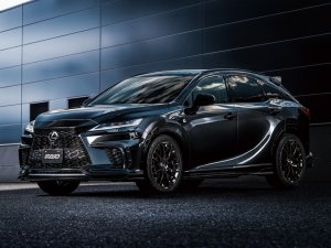 RAYS 2x9R 18x7.5J (21,22 дюйма: HDJ) Глянцевый черный 27398755096BNJ - thumbnail 29