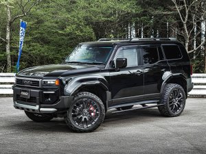 RAYS 2x9R 18x7.5J (21,22 дюйма: HDJ) Глянцевый черный 27398755096BNJ - thumbnail 15