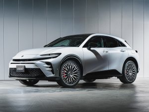 RAYS 2x15R 22x9J 274129045426BJ - thumbnail 5