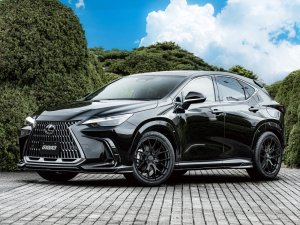 RAYS RS 2x7FT 18x7.5J Глянцевый черный 27428754265BXZ - thumbnail 5