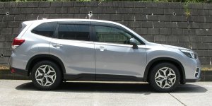 Prova Спортивные пружины SKE 31350TH2050