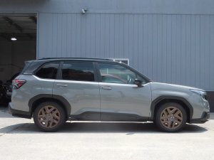 Prova Спортивные пружины SL5 31360TH2000