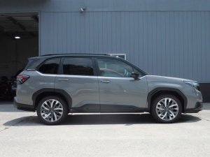 Prova Спортивные пружины SLG 31360TH2020