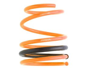 Prova Спортивные пружины VA 31600TH1000