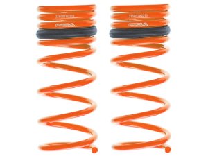 Prova Спортивные пружины VM GT-S 31600TH2011