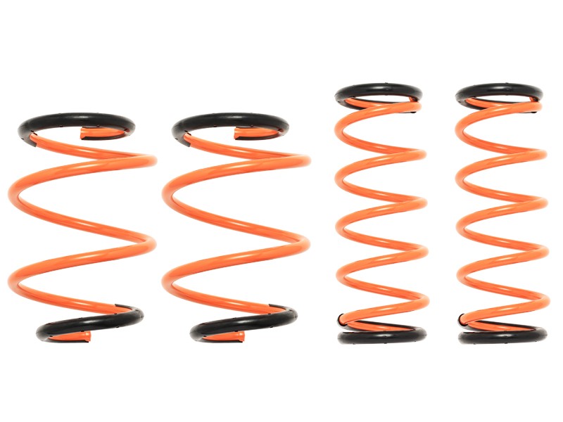 Prova Спортивные пружины VN5 GT 31700TH2010 - Фото 1