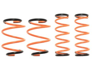 Prova Спортивные пружины VNH STI 31700TH2020