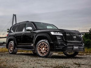 RAYS M8 16x6J Матовый черный 38076606515N2 - thumbnail 8