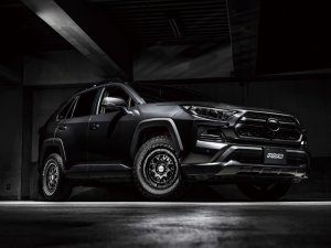 RAYS M9+ SPEC-M 15x5J Полуматовый супер-тёмный ган-металлик 38195504792AOJ - thumbnail 11