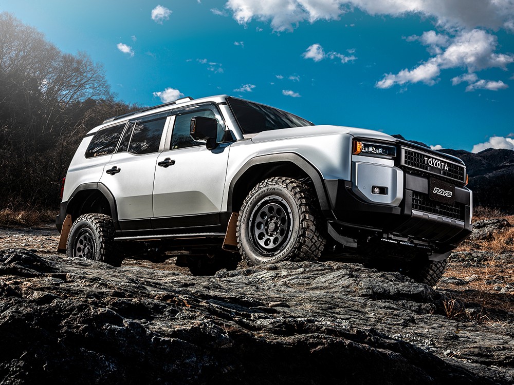 RAYS D9 16x6.5J Полуглянцевый черный 38257857014BEL - Фото 7