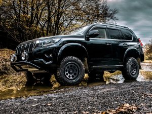 RAYS D9 16x6.5J Полуглянцевый черный 38257857014BEL - thumbnail 8