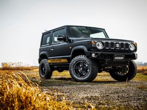 RAYS FDX-J collection 16x5.5J Чёрный 38846552015BNN