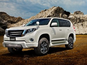 RAYS FDX F6 17x8J Прозрачный черный 38887802016KZ - thumbnail 9