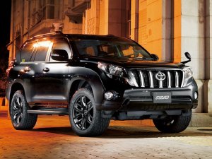 RAYS FDX F6 17x8J Прозрачный черный 38887802016KZ - thumbnail 8