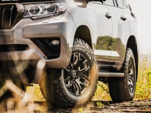 RAYS FDX F6 17x8J Прозрачный черный 38887802016KZ - thumbnail 3