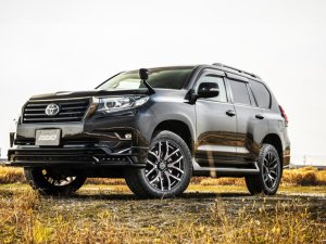 RAYS FDX F6 17x8J Прозрачный черный 38887802016KZ - thumbnail 7