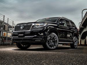 RAYS FDX F6 17x8J Прозрачный черный 38887802016KZ - thumbnail 5