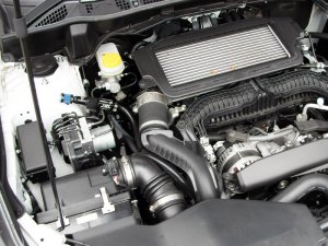 Prova T-REV BP 51000BE0000