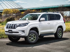 RAYS 57DR-X Limited Edition 16x5.5J Джангл Грин 58146552015DXZ - thumbnail 5