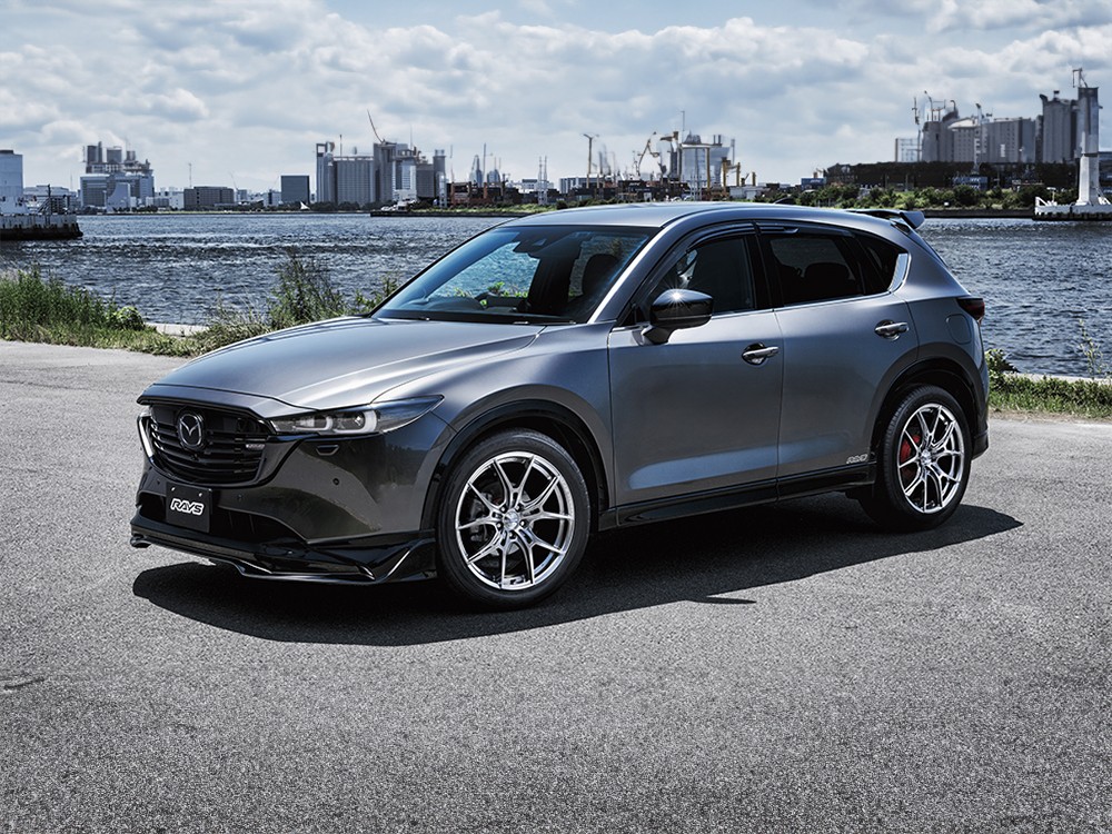 RAYS 57FXZ LIMITED EDITION 18x7.5J Серебристый Грейс 58158755095QNJ - Фото 8