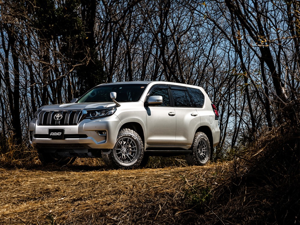 RAYS 57XR-X 16x6J Dark Bronze 58307802016B2 - Photo 16