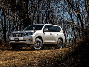 RAYS 57XR-X 16x6J Dark Bronze 58307802016B2 - thumbnail 16