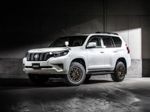 RAYS 57XR-X 16x6J Dark Bronze 58307802016B2 - thumbnail 15